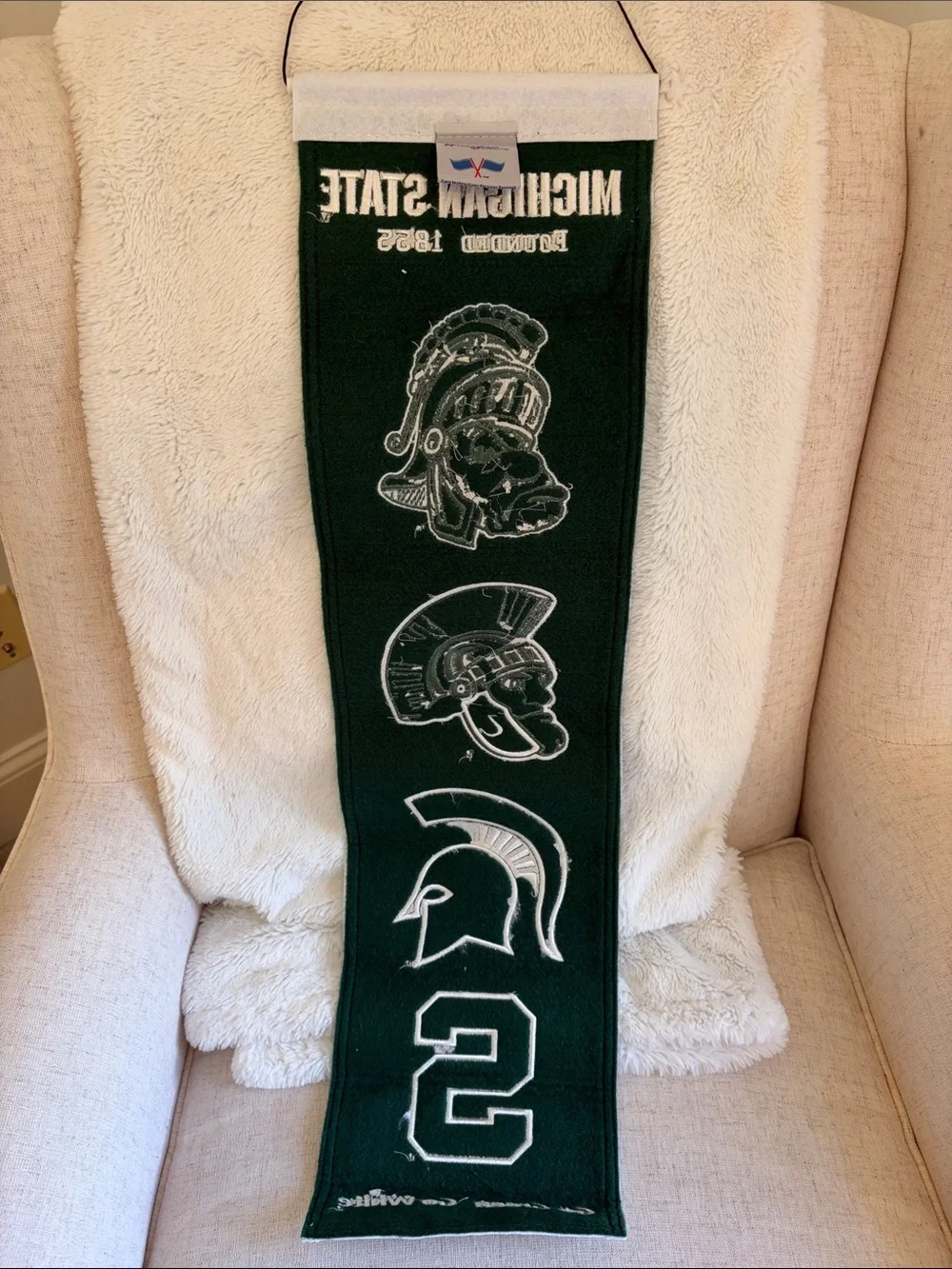 Michigan State colors - Green and White Team Banner - Home Decor